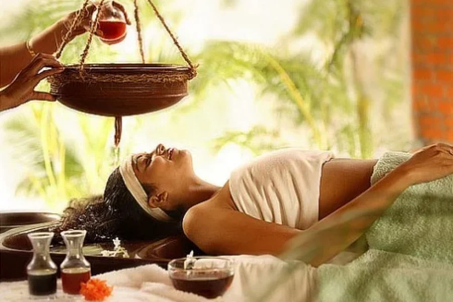 Ayurveda Highlights 3D 2N